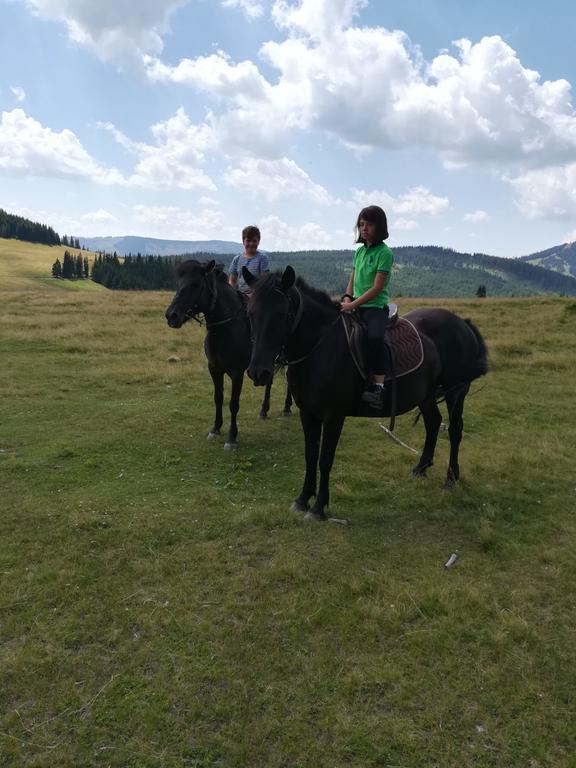 Pensiunea Catalina Moldova Sulita Kültér fotó
