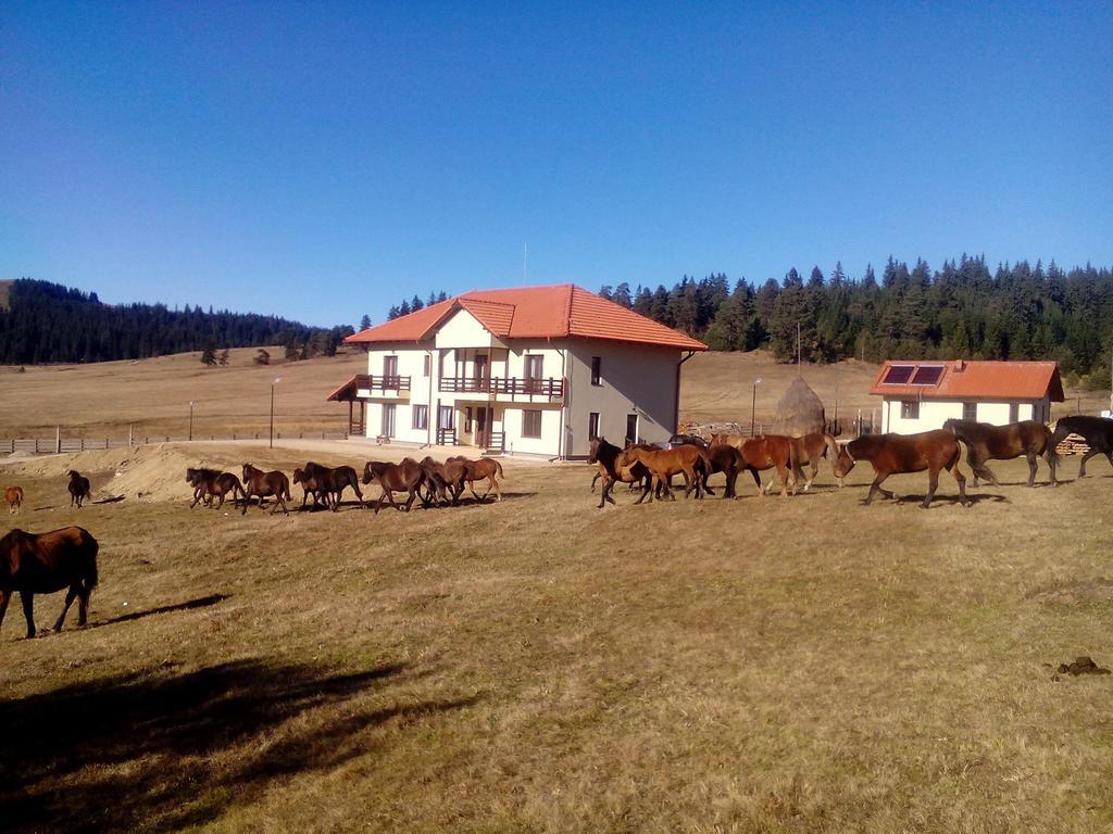 Pensiunea Catalina Moldova Sulita Kültér fotó
